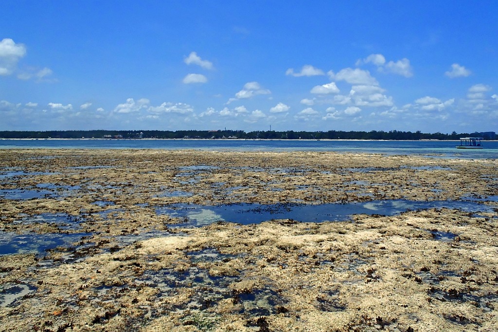 Kenia (539).jpg